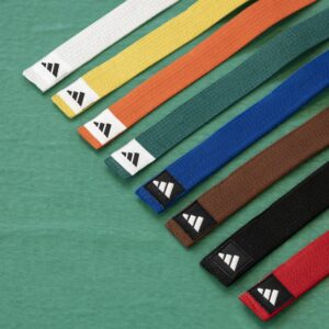 Cinturón de karate para clubes y academias, con diseño resistente y variedad de colores. Ideal para acompañar el progreso técnico en cada nivel. Envíos a toda Venezuela